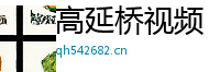 高延桥视频